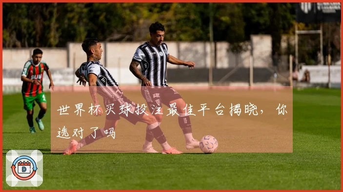 世界杯买球投注最佳平台揭晓,你选对了吗