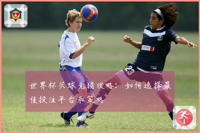 世界杯买球竞猜攻略：如何选择最佳投注平台和策略