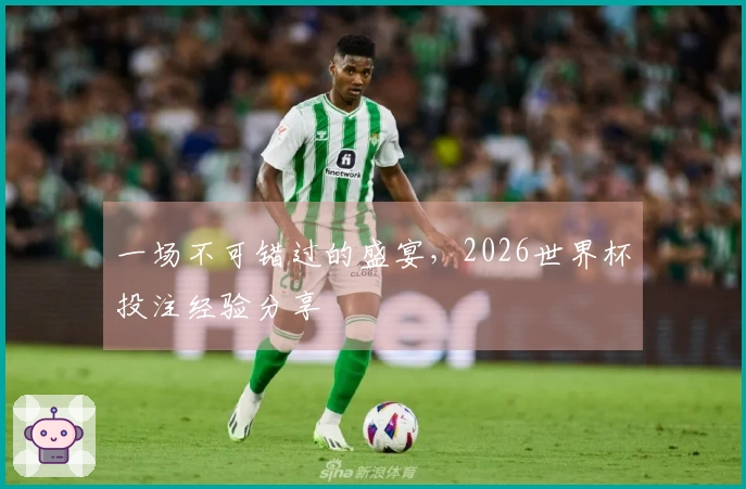 一场不可错过的盛宴,2026世界杯投注经验分享