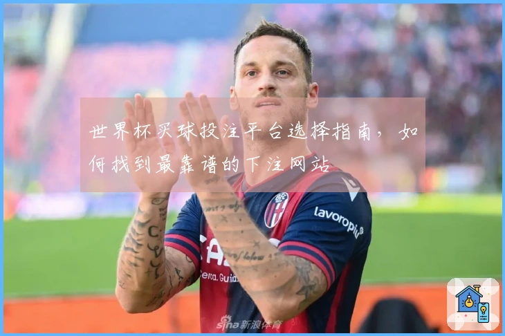 世界杯买球投注平台选择指南，如何找到最靠谱的下注网站