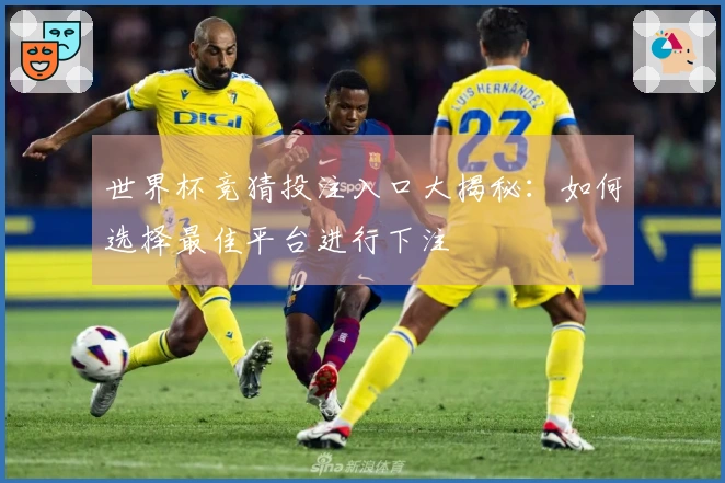 世界杯竞猜投注入口大揭秘:如何选择最佳平台进行下注