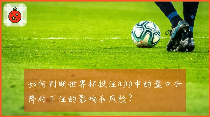 如何判断世界杯投注app中的盘口升降对下注的影响和风险？
