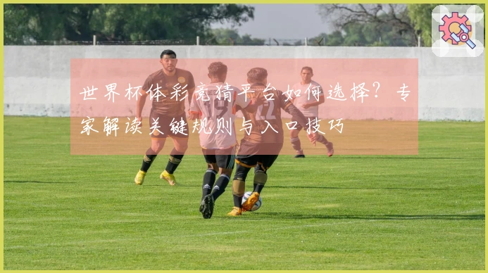 世界杯体彩竞猜平台如何选择？专家解读关键规则与入口技巧