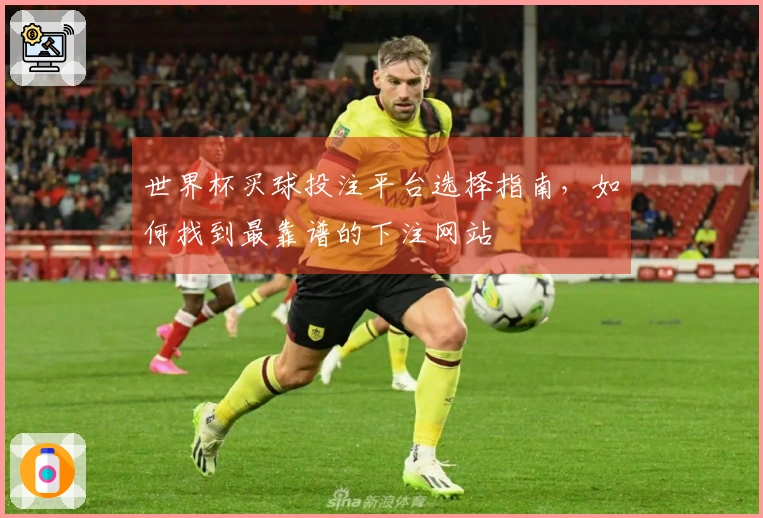 世界杯买球投注平台选择指南，如何找到最靠谱的下注网站