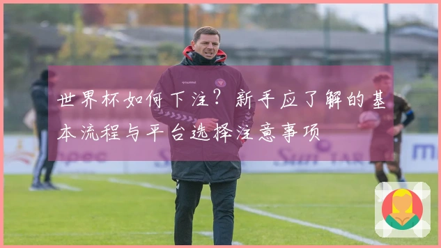 世界杯如何下注？新手应了解的基本流程与平台选择注意事项