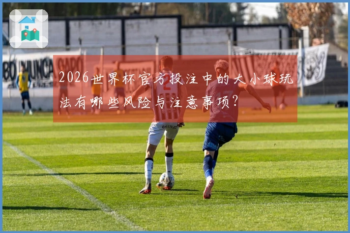 2026世界杯官方投注中的大小球玩法有哪些风险与注意事项？