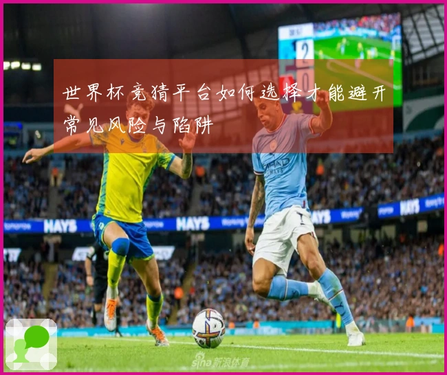 世界杯竞猜平台如何选择才能避开常见风险与陷阱