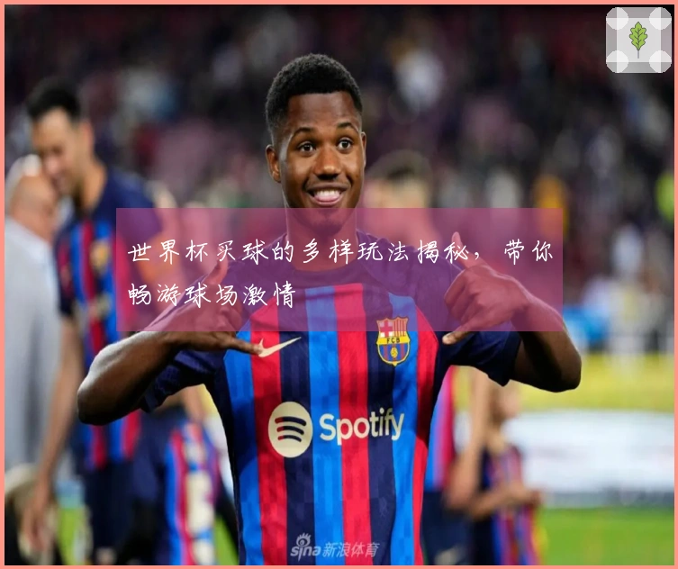 世界杯买球的多样玩法揭秘,带你畅游球场激情