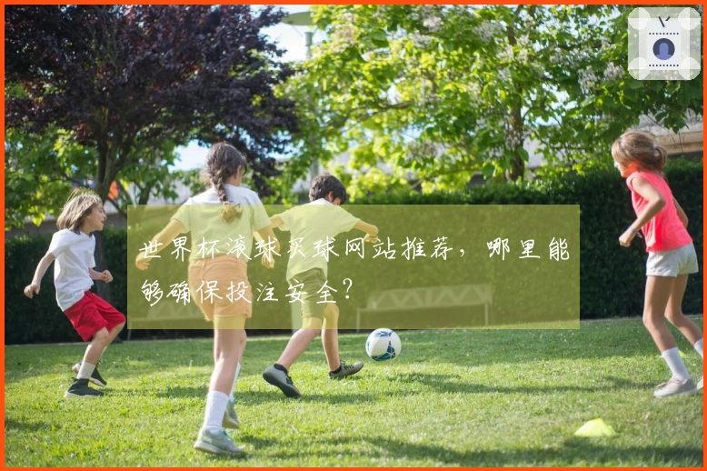 世界杯滚球买球网站推荐,哪里能够确保投注安全?