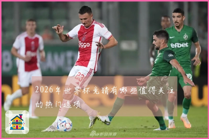 2026年世界杯竞猜有哪些值得关注的热门选项