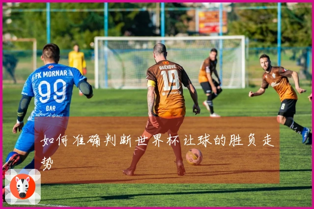 如何准确判断世界杯让球的胜负走势