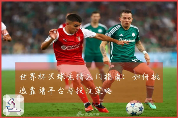 世界杯买球竞猜入门指南：如何挑选靠谱平台与投注策略