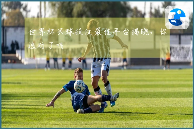 世界杯买球投注最佳平台揭晓，你选对了吗