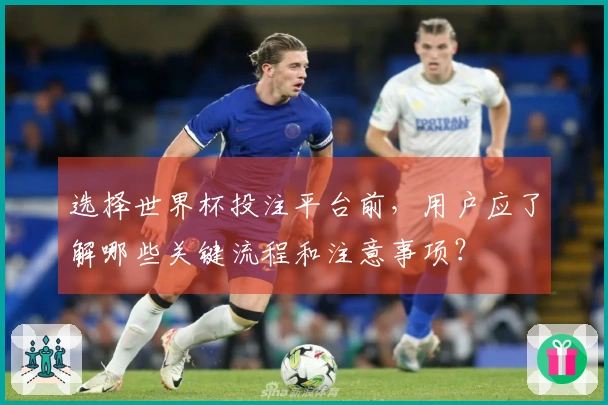 选择世界杯投注平台前，用户应了解哪些关键流程和注意事项？