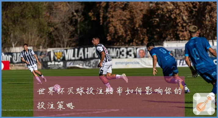 世界杯买球投注赔率如何影响你的投注策略