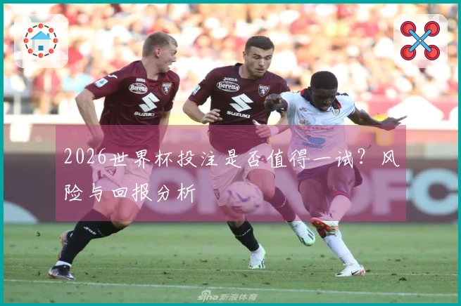 2026世界杯投注是否值得一试？风险与回报分析
