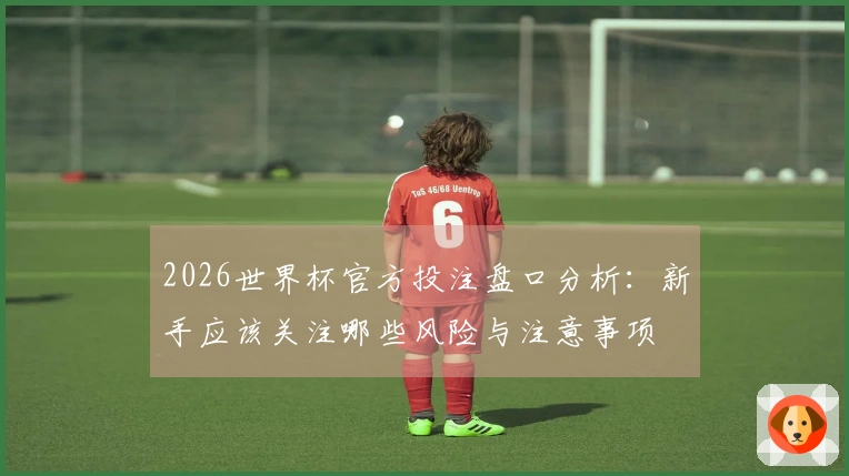 2026世界杯官方投注盘口分析：新手应该关注哪些风险与注意事项