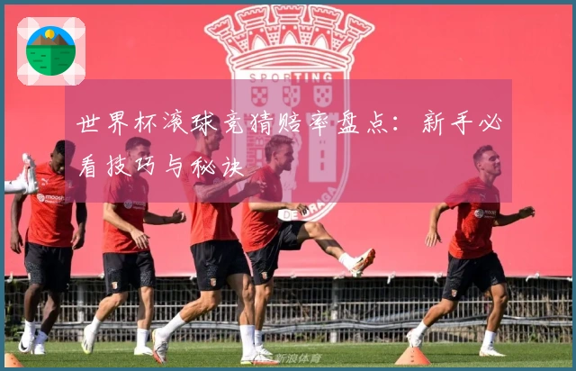 世界杯滚球竞猜赔率盘点：新手必看技巧与秘诀