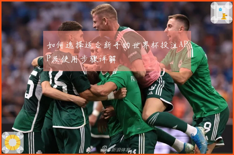 如何选择适合新手的世界杯投注APP及使用步骤详解