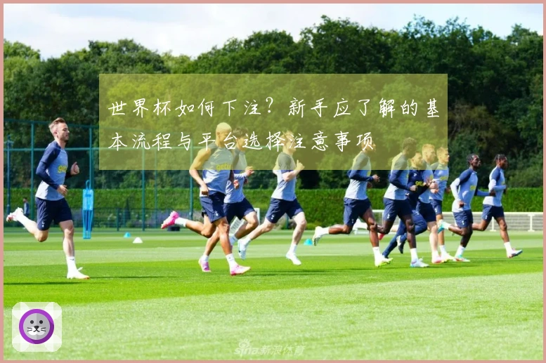 世界杯如何下注？新手应了解的基本流程与平台选择注意事项
