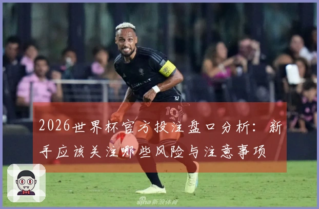 2026世界杯官方投注盘口分析：新手应该关注哪些风险与注意事项