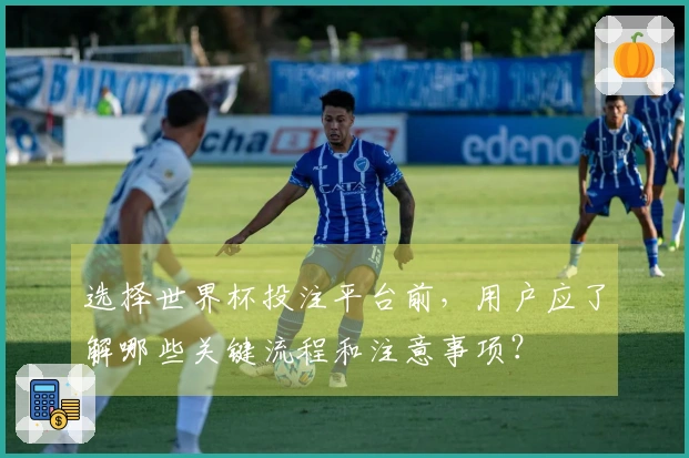 选择世界杯投注平台前，用户应了解哪些关键流程和注意事项？