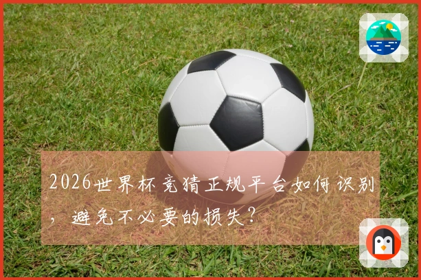 2026世界杯竞猜正规平台如何识别，避免不必要的损失？