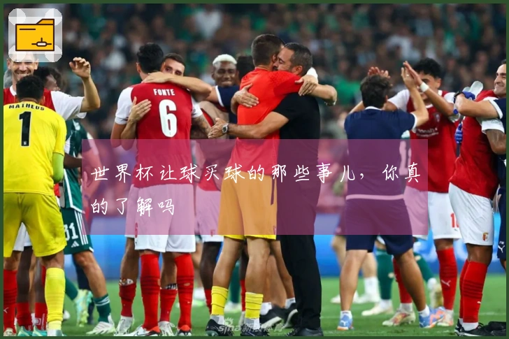 世界杯让球买球的那些事儿,你真的了解吗