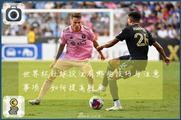 世界杯让球投注有哪些技巧与注意事项,如何提高胜率
