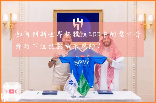 如何判断世界杯投注app中的盘口升降对下注的影响和风险？
