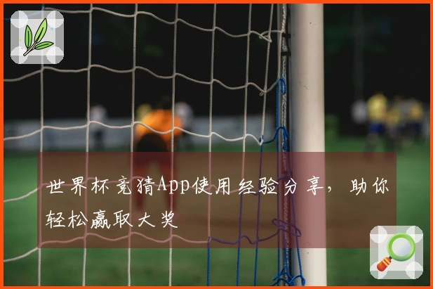 世界杯竞猜App使用经验分享，助你轻松赢取大奖