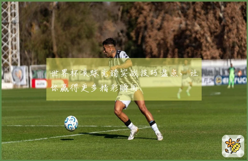 世界杯滚球竞猜实战技巧盘点，让你赢得更多精彩瞬间